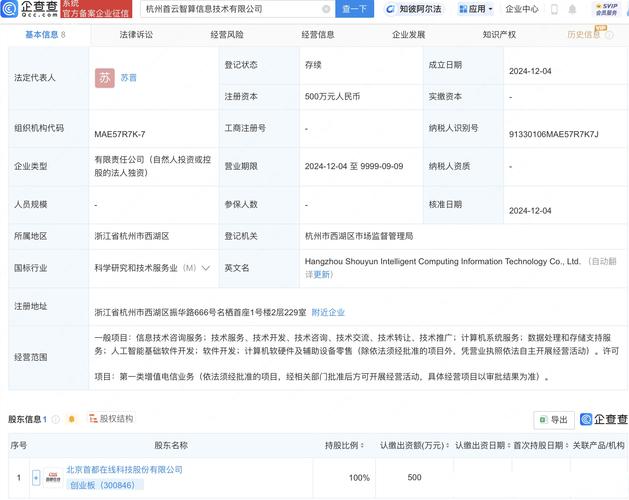 经营范围广泛,包括计算机系统服务,数据处理,存储支持及人工智能软件